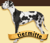 Tiermitte